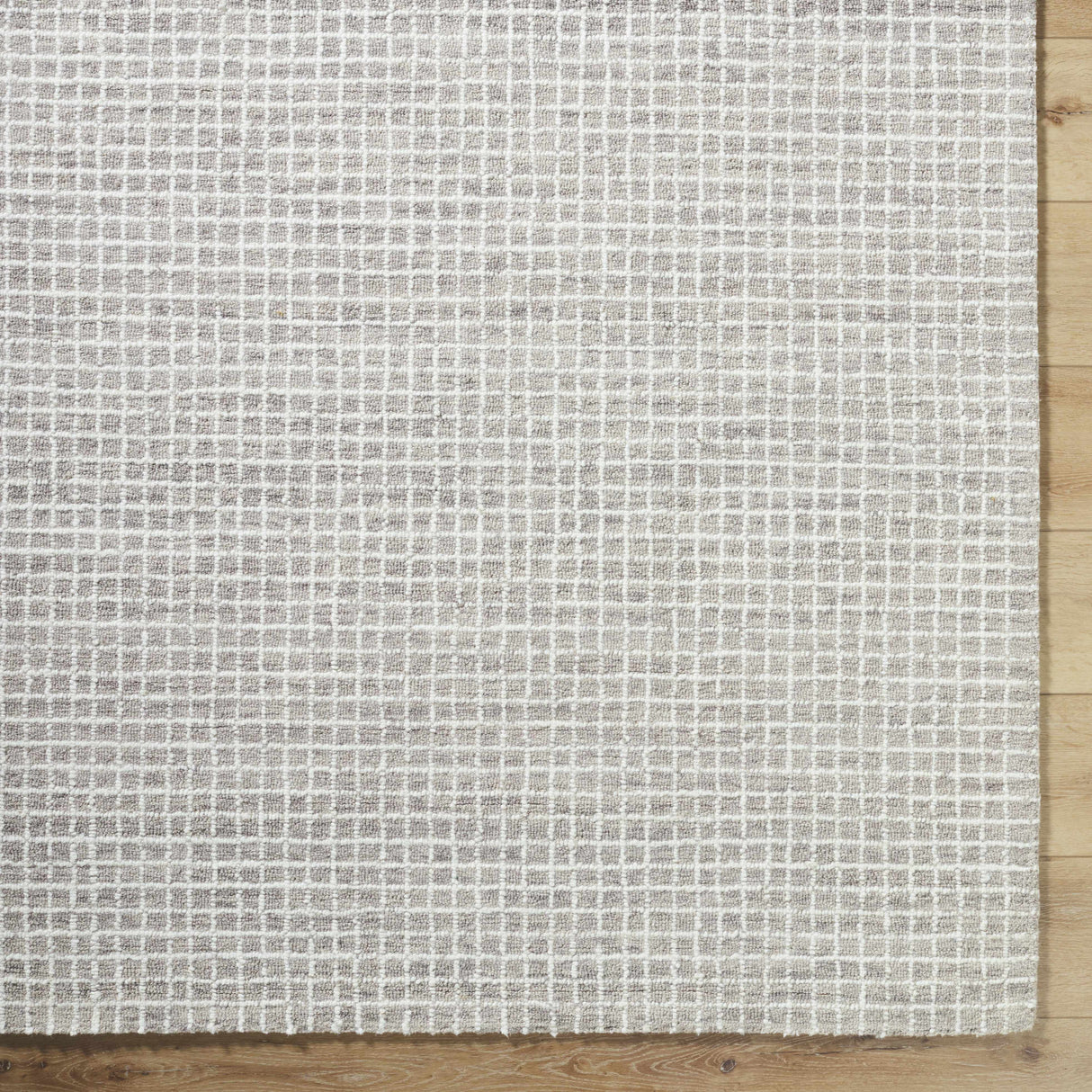 Anahid Gray Area Rug