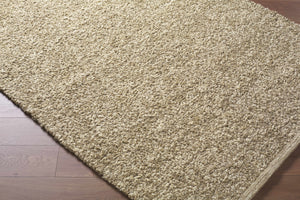 Teela Beige Area Rug
