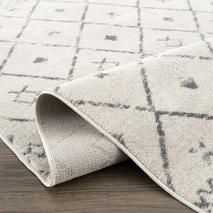 Tigris Area Rug - Clearance