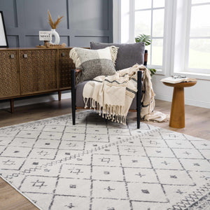 Tigris Area Rug - Clearance