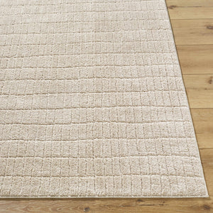 Cascade Dark Beige Area Rug