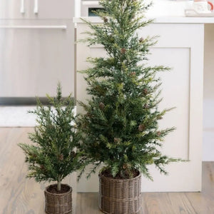 4' Pine Tree