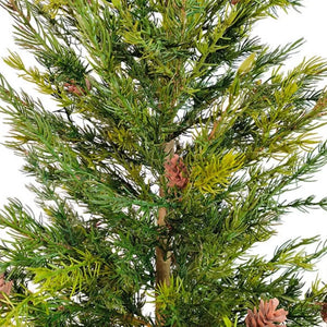 4' Pine Tree