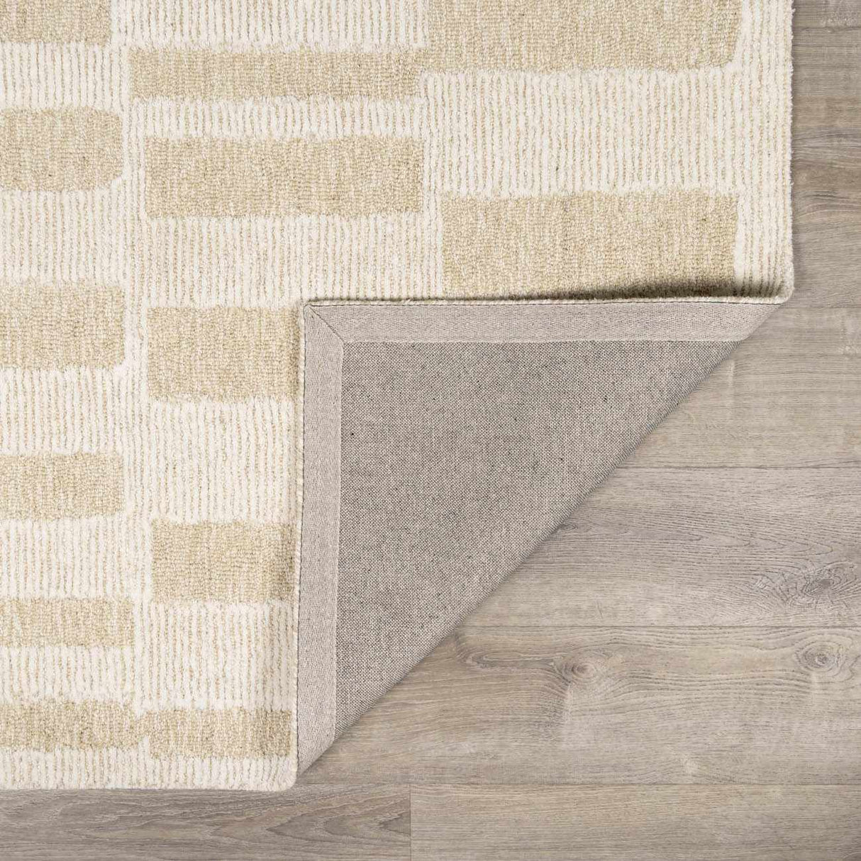 Teige Light Silver Area Rug