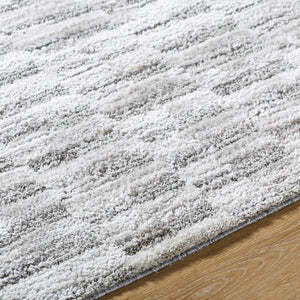 Tiimu Shag Area Rug - Clearance