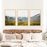 Foggy Mountains and Green Forest. Photo Triptych