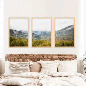 Foggy Mountains and Green Forest. Photo Triptych