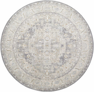 Ulubey Distressed Gray Area Rug