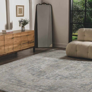 Ulubey Distressed Gray Area Rug