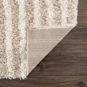 Emmly Shag Area Rug