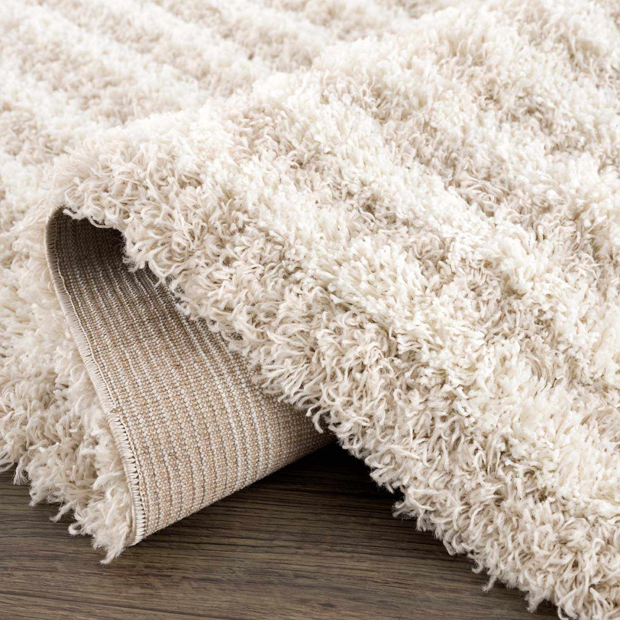 Emmly Shag Area Rug