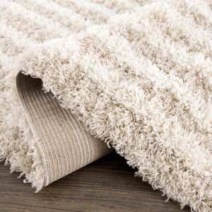 Emmly Shag Area Rug