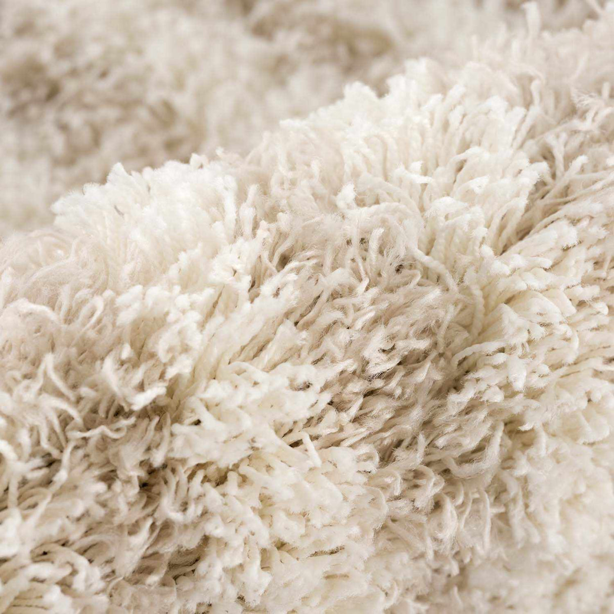 Emmly Shag Area Rug