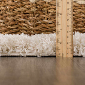 Emmly Shag Area Rug