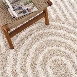 Emmly Shag Area Rug