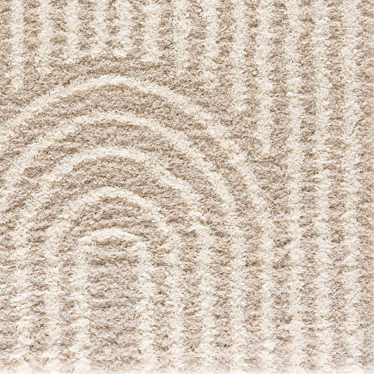 Emmly Shag Area Rug