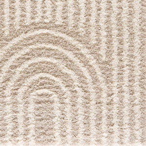 Emmly Shag Area Rug