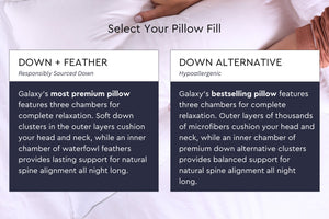 Cloud Fill Bundle w/ Cotton Percale