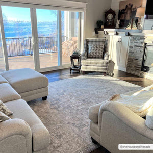 Ulubey Distressed Gray Area Rug