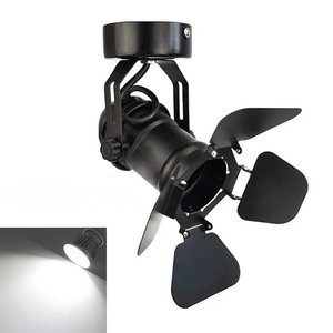 Industrial Vintage LED Ceiling Spotlight Barn Door Art Gallery Hallway Stage