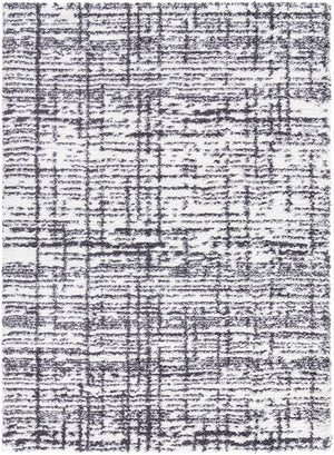 Anisha Black Area Rug