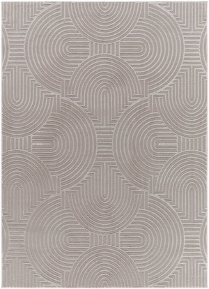 Aucoin Taupe 3D Rainbow Washable Area Rug