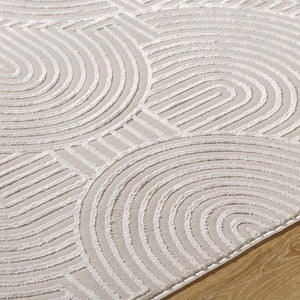 Aucoin Taupe 3D Rainbow Washable Area Rug