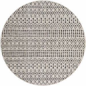 Wallkill Area Rug