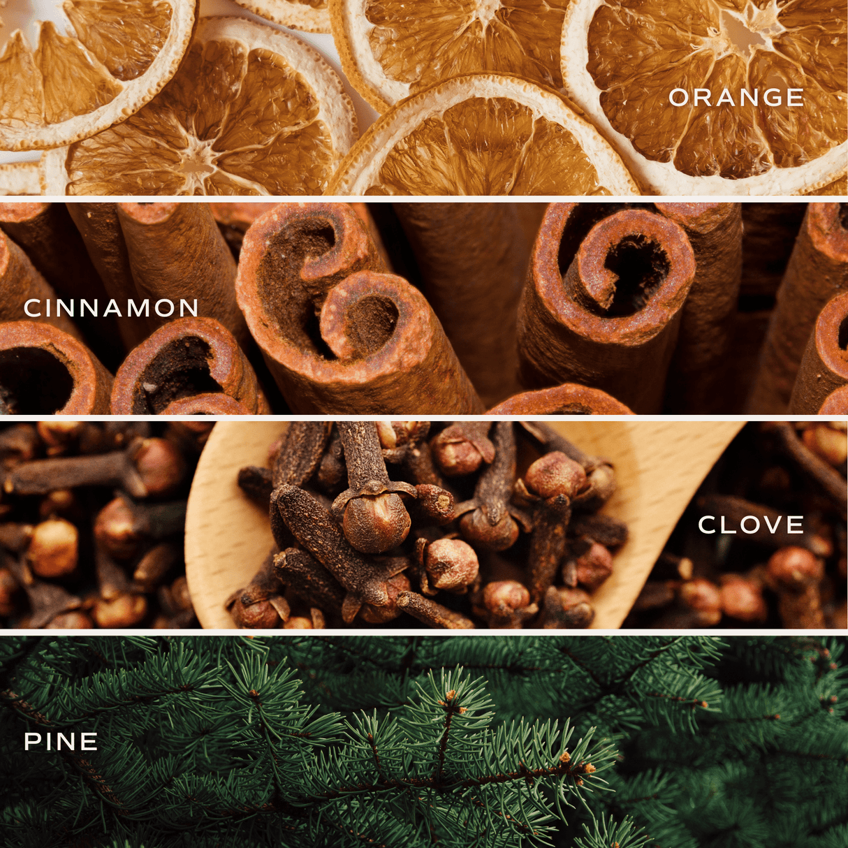 Warm and Cozy Amber Reed Diffuser