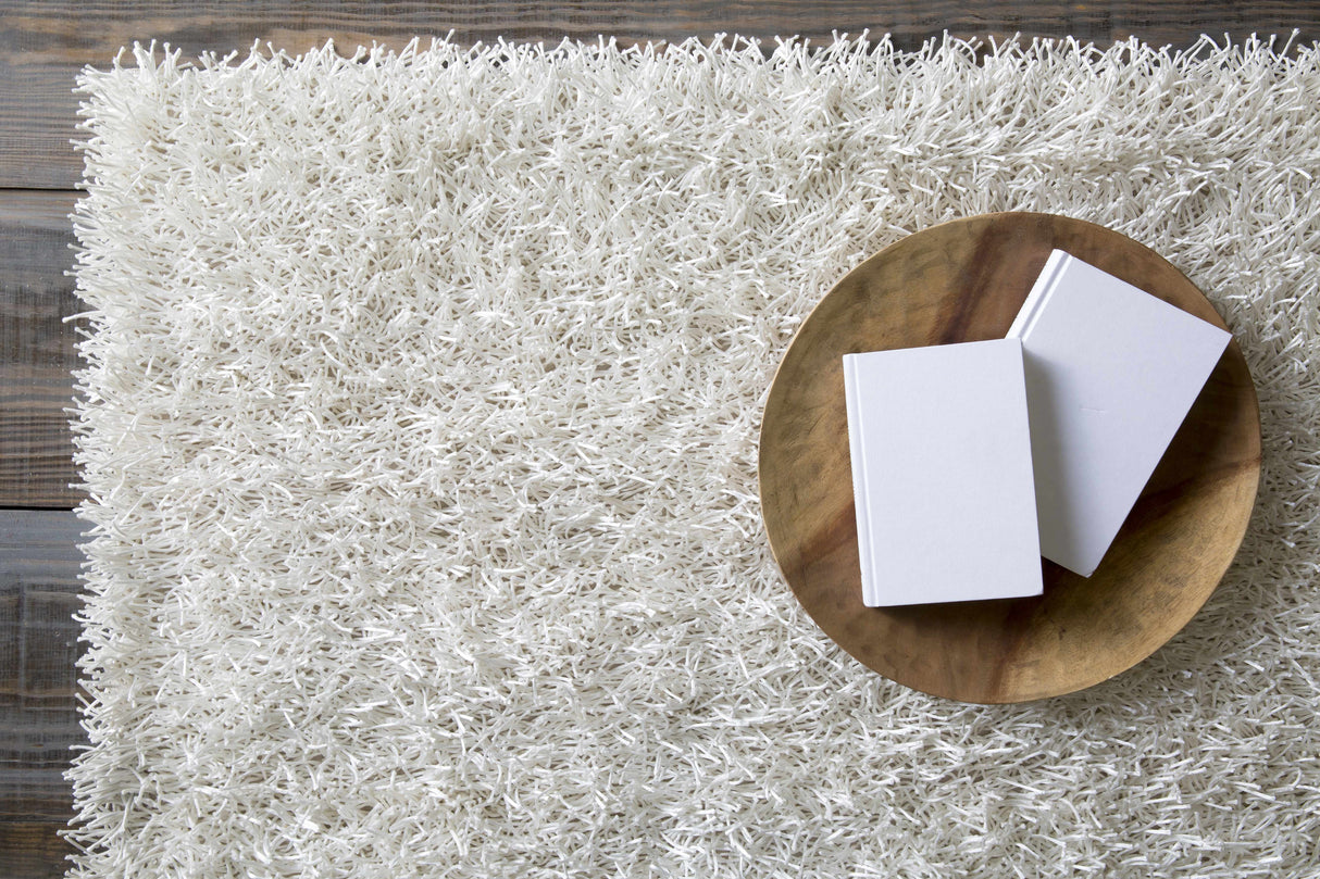 Browder Solid Beige Shag Area Rug - Clearance
