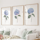 Light Blue Hydrangea Flower Wall Art Poster Set