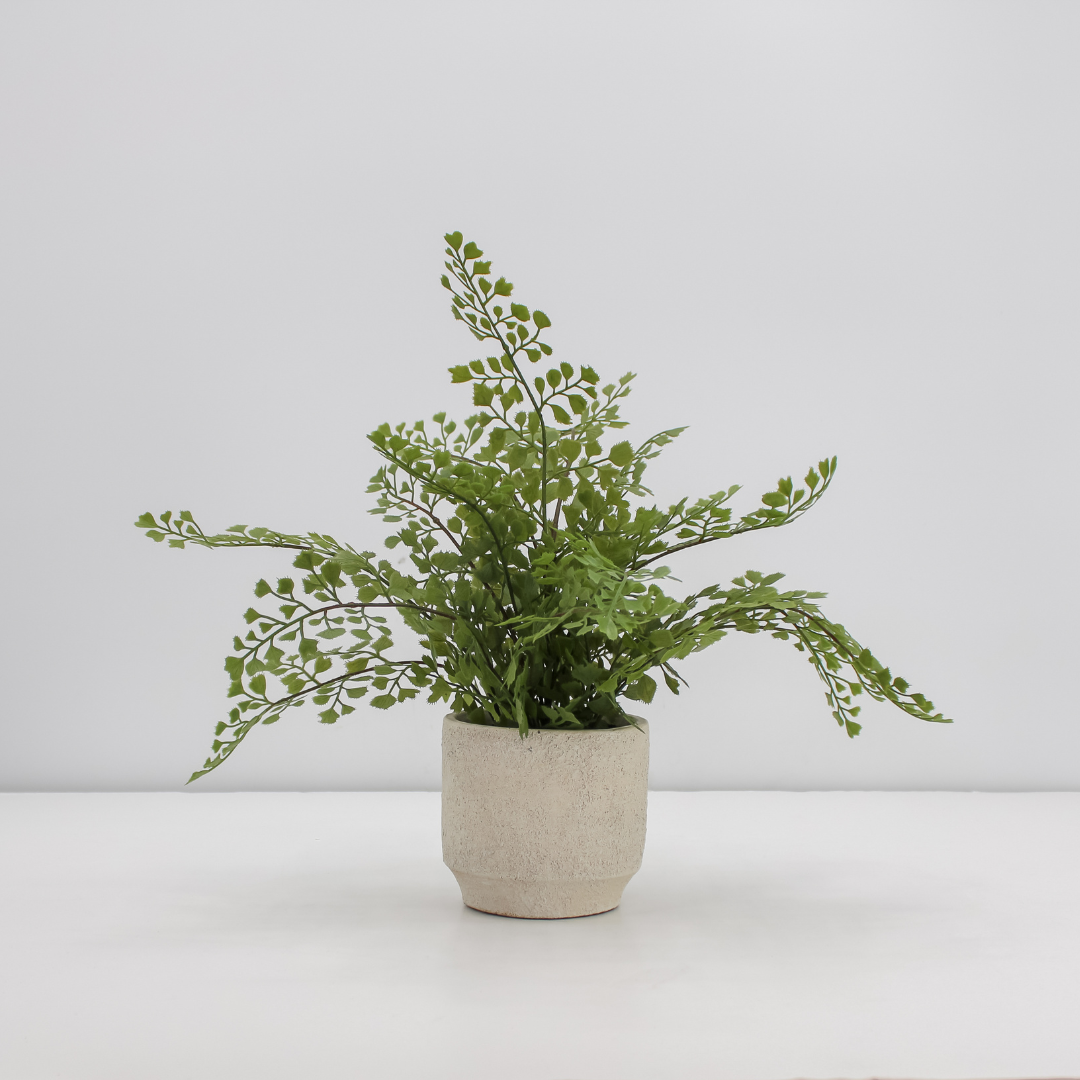 16" Faux Snake Plant & Fern Set