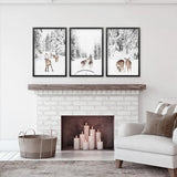 Winter Woodland Photo Set of 3. Fawn, Dog Sledding