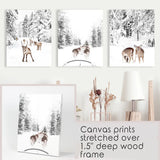 Winter Woodland Photo Set of 3. Fawn, Dog Sledding