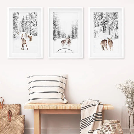 Winter Woodland Photo Set of 3. Fawn, Dog Sledding