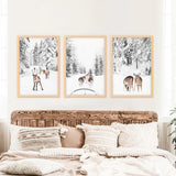 Winter Woodland Photo Set of 3. Fawn, Dog Sledding