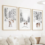 Winter Woodland Photo Set of 3. Fawn, Dog Sledding