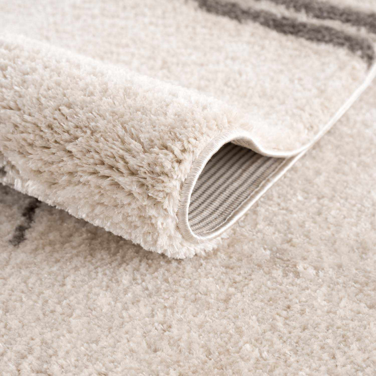 Apichu Charcoal Washable Area Rug