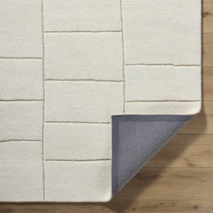 Xylia Beige Area Rug