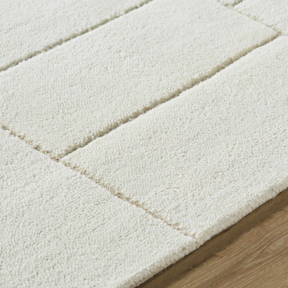 Xylia Beige Area Rug