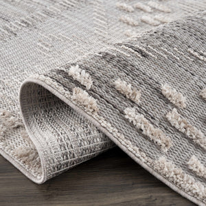 Poydras High-Low Rustic Rug