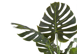 55" Tall, Artificial Plant, Monstera Tree, Indoor, Faux, Fake, Floor, Greenery, Potted, Real Touch, Decorative - Green / Black - Best Buy Furniture