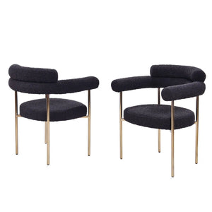 Upholstered Accent Dining Chairs With Armrests (Set of 2)