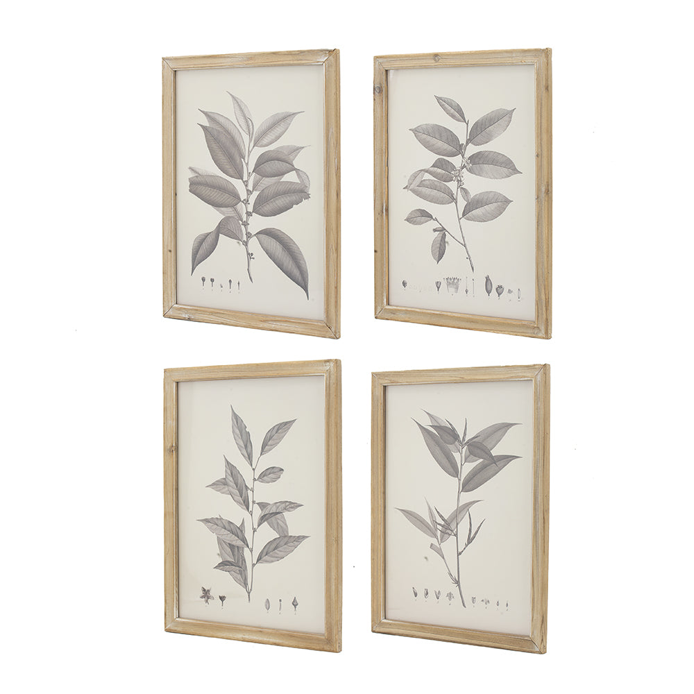 Botanical Wall Décor Set of 4