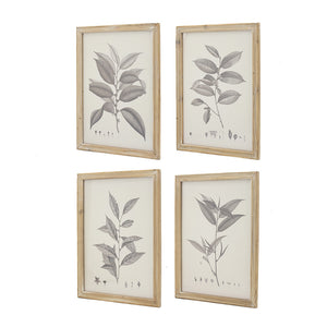 Botanical Wall Décor Set of 4