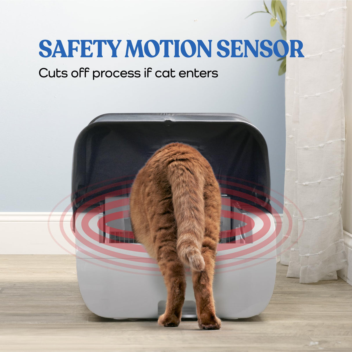 Smart Cat Litter Box With Wide Opening