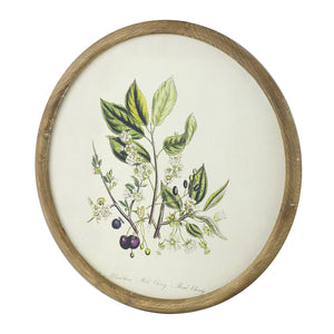 S/4 D19.7" Flora Print Round Frame
