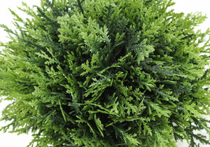 5" Tall, Artificial Plant, Grass, Indoor, Faux, Fake, Table, Greenery, Potted, Decorative (Set of 3) - Green / Gray - Best Buy Furniture