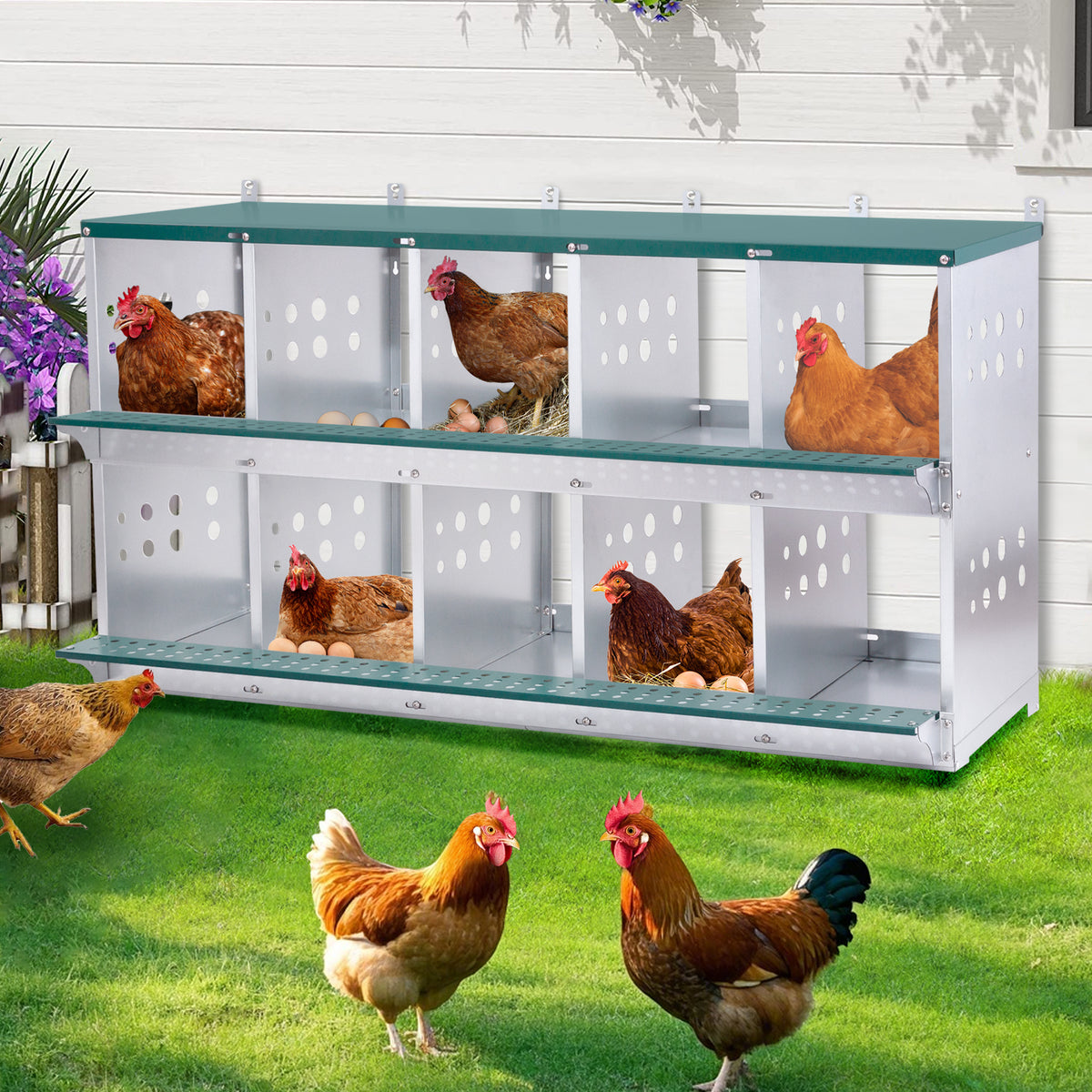 10-Bay Metal Nest Box for Hens and Ducks