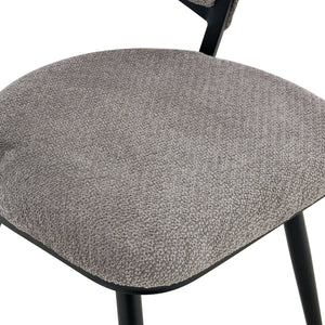Dining Chairs For Dining Room & Kitchen (Set of 2)